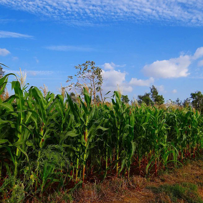 Blog Noviembre 2024!